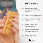 Eco Bath Natural Sisal Nail Brush Collection - Available in Beech Wood, Walnut Wood and Olive Wood
