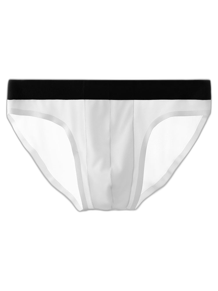 4 Pack Ice Silk Seamless Men's Briefs