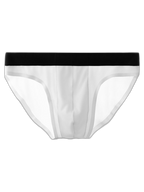 4 Pack Ice Silk Seamless Men's Briefs