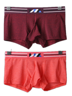 2 Pack Separated Pouch Comfy Mens Boxer Briefs