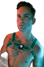 Breedwell Daddys Favourite Bulldog Harness Green