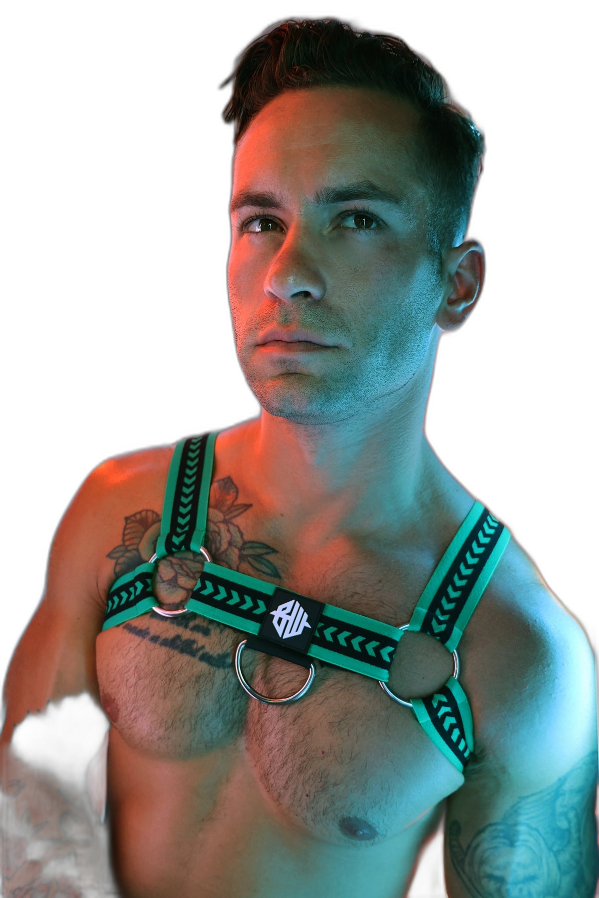Breedwell Daddys Favourite Bulldog Harness Green