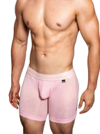 2 Pack Men's Trendy Breathable Ice Silk Boxer Briefs
