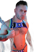 Breedwell Retro Remix Harness Blue