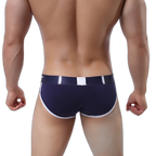 Contrast Mesh Breathable Cotton Briefs