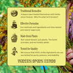 Wooden Spoon Herbs Elderberry Syrup – USDA Organic Lung & Immune Support | 8 fl oz