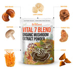 Ellie's Best 7 Mushroom Powder Extract Blend – Organic Reishi, Lion's Mane, Chaga, Turkey Tail, Cordyceps, Maitake & Shiitake – Double Extracted – 16oz / 456 Servings
