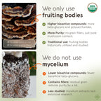 Organic Emperor 4 Mushroom Blend 100g – Fruiting Body Extract | Lions Mane, Cordyceps, Chaga & Reishi