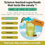 Energy Mushroom Gummies – Organic Lion’s Mane & Cordyceps, Rhodiola, L-Theanine | Vegan & Sugar-Free (60 Gummies)