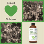 Complete Natural Products Liver Complete 12oz – Organic Liquid Liver Support & Detox