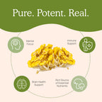 Real Mushrooms Ergothioneine Supplement – Golden Oyster Mushroom Extract, 60 Capsules – Organic, Vegan, Non-GMO