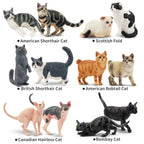 EYSCOTA 12PCS Cat Figurines - Realistic PVC Cat Toys, Cake Toppers & Kids Gift