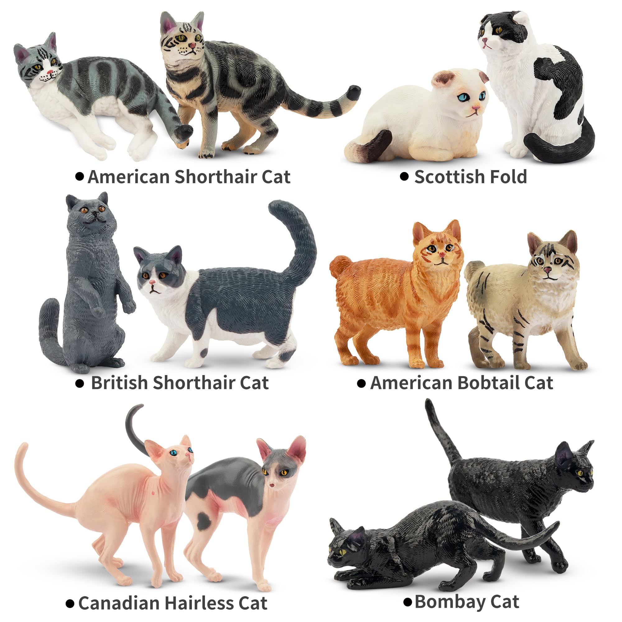 EYSCOTA 12PCS Cat Figurines - Realistic PVC Cat Toys, Cake Toppers & Kids Gift