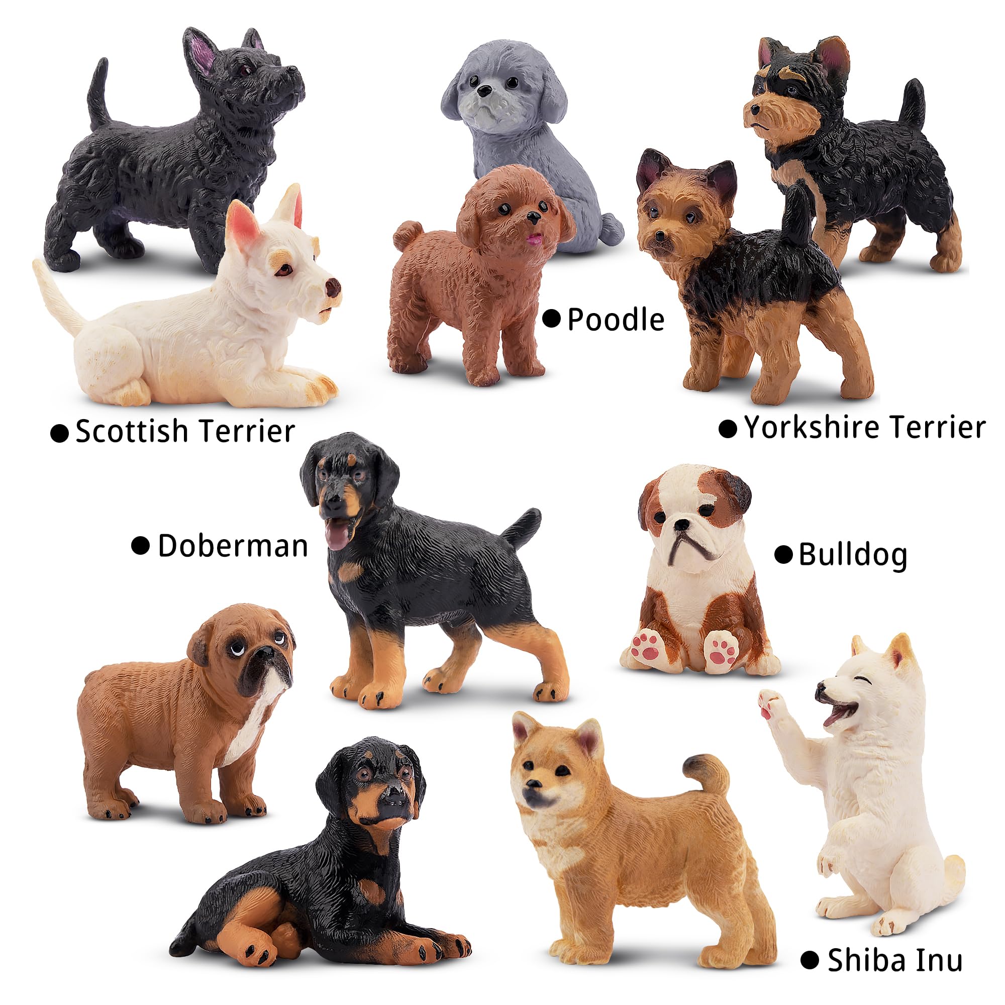 EYSCOTA 12PCS Dog Figurines – Hand-Painted Mini Puppy Set for Play, Cake Toppers & Gifts