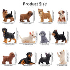 EYSCOTA 12PCS Dog Figurines – Hand-Painted Mini Puppy Set for Play, Cake Toppers & Gifts