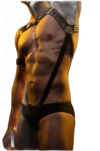 Elegant Gold Star Elastic Harness
