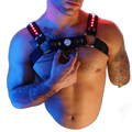 Breedwell Prismaglow Bulldog Harness