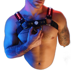 Breedwell Prismaglow Bulldog Harness