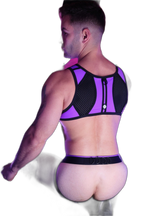 Breedwell Purpleicious Cockpit Tank Harness