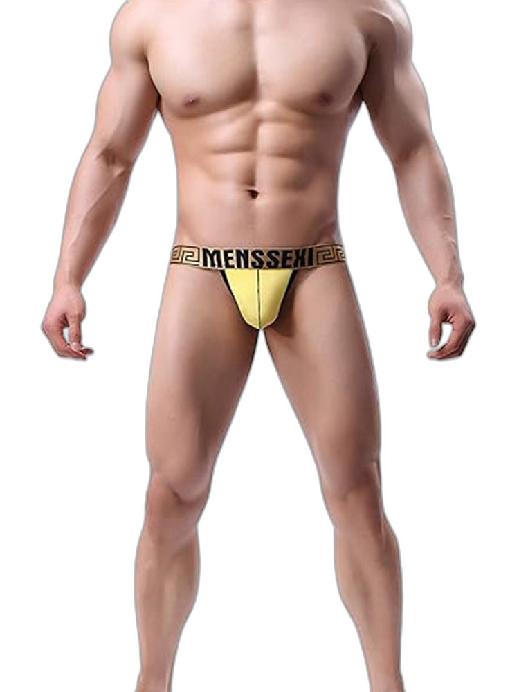 4 Pack Men's Single Pouch Ice Silk Sexy Thong