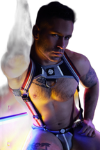 Breedwell Retro Remix Harness Heather Grey