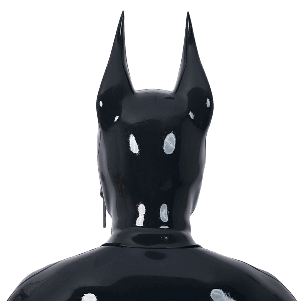 Furrjoi Zipper Dog Hood