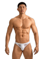 2 Pack Men's Sheer Mesh Low-Rise Sexy Ice Silk Briefs