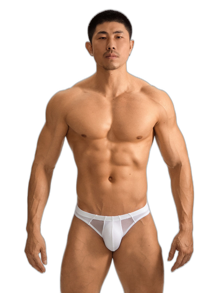 2 Pack Men's Sheer Mesh Low-Rise Sexy Ice Silk Briefs