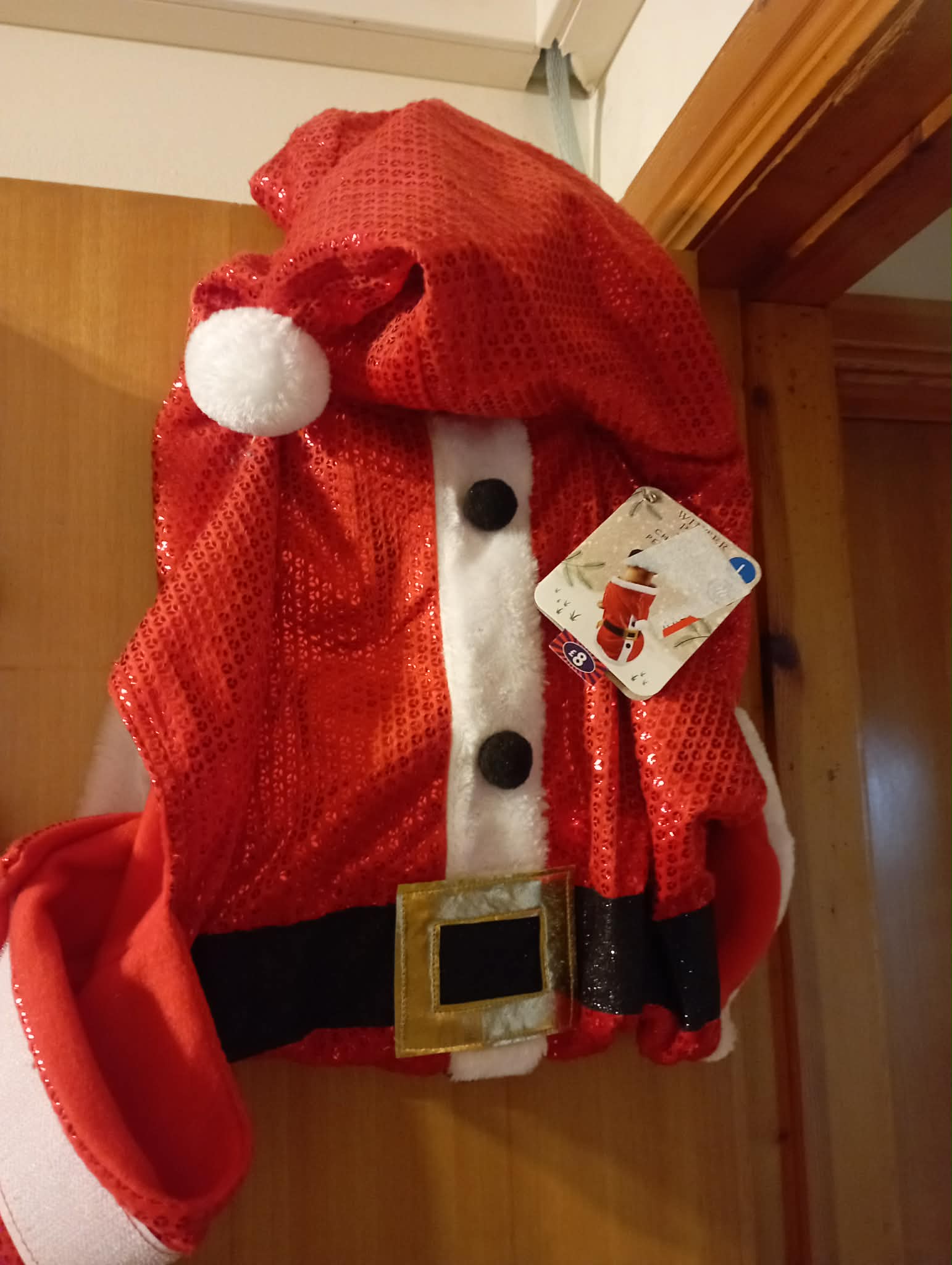 DOG FUN Santa Christmas Dress up costume