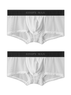 2-Pack Men's Breathable Mesh Ice Silk U-convex Low Waist Boxer Briefs
