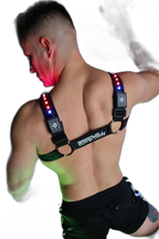 Breedwell Prismaglow Bulldog Harness