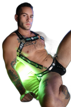 Breedwell Illuminator Body Harness Silver