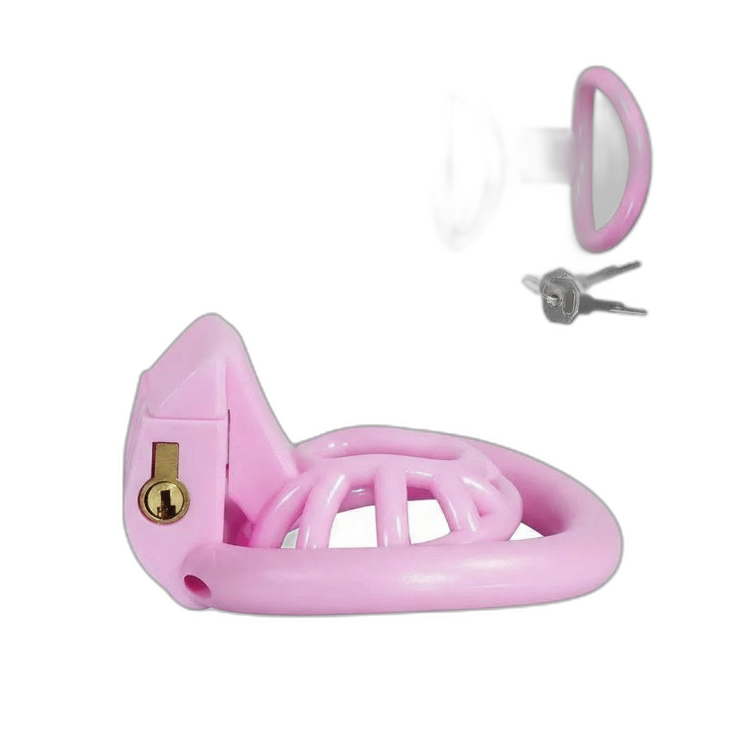 PushTech Chastity Cage With 4 Ring Sizes