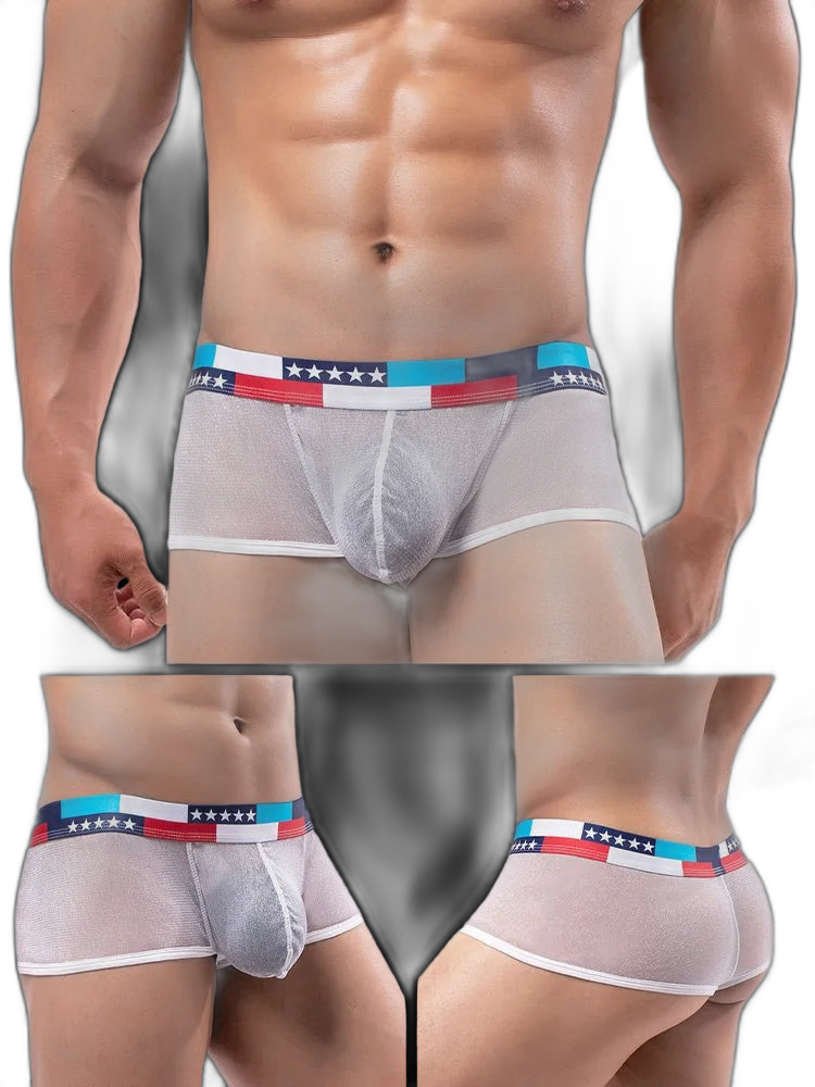4-pack Low-rise Micro-mesh Boxer Briefs