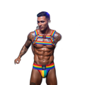 Jockmail Pride Warrior Rainbow Harness Set