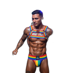 Jockmail Pride Warrior Rainbow Harness Set