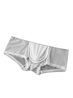 2-Pack Men's Breathable Mesh Ice Silk U-convex Low Waist Boxer Briefs