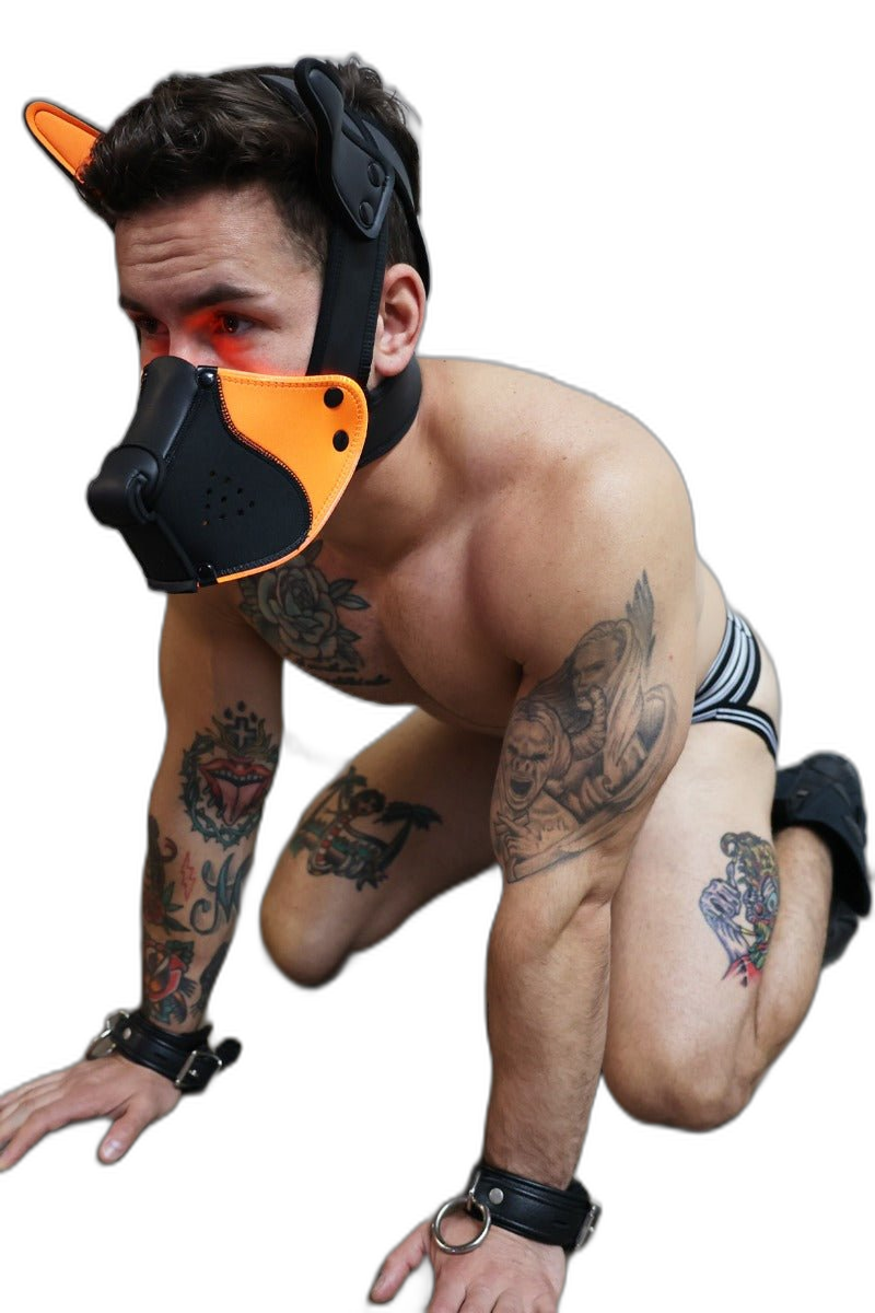 Breedwell Poundtown Pup Mask 2.0 Neon Orange