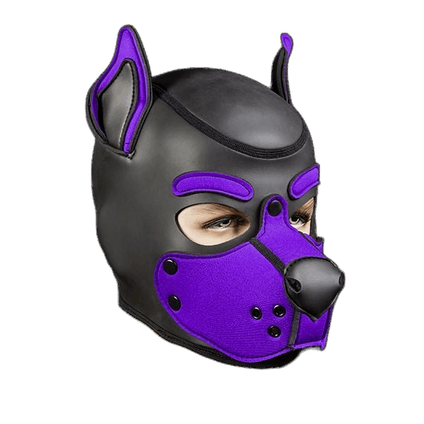 Mr S Leather Neoprene K9 Puppy Hood | Black/Purple