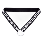 Chastity Cage Tightening Belt