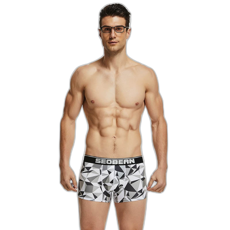 Seobean Geometric Boxers