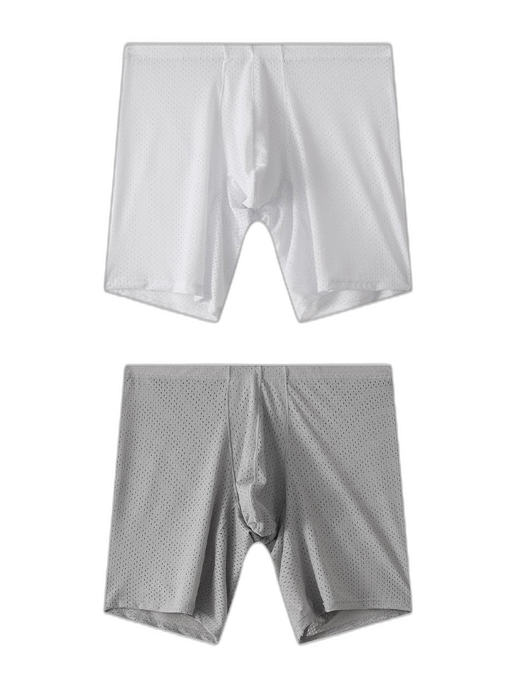 2 Pack Men's Mesh Transparent Sports Fitness Loose Boxer Briefs