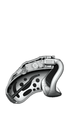 Remote Control Shock Chastity Cage