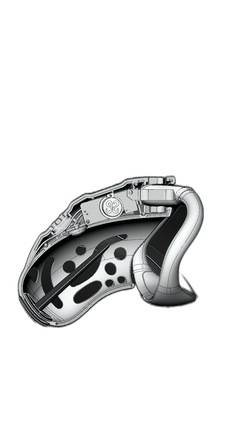 Remote Control Shock Chastity Cage