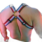 Breedwell Retro Remix Harness Heather Grey