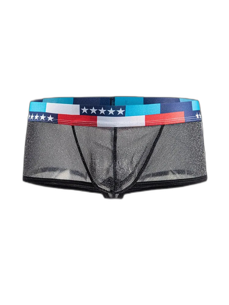 4-pack Low-rise Micro-mesh Boxer Briefs