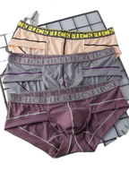 2 Pack Men's Ice-Silk Stretch Sports Briefs with 3D Pouch