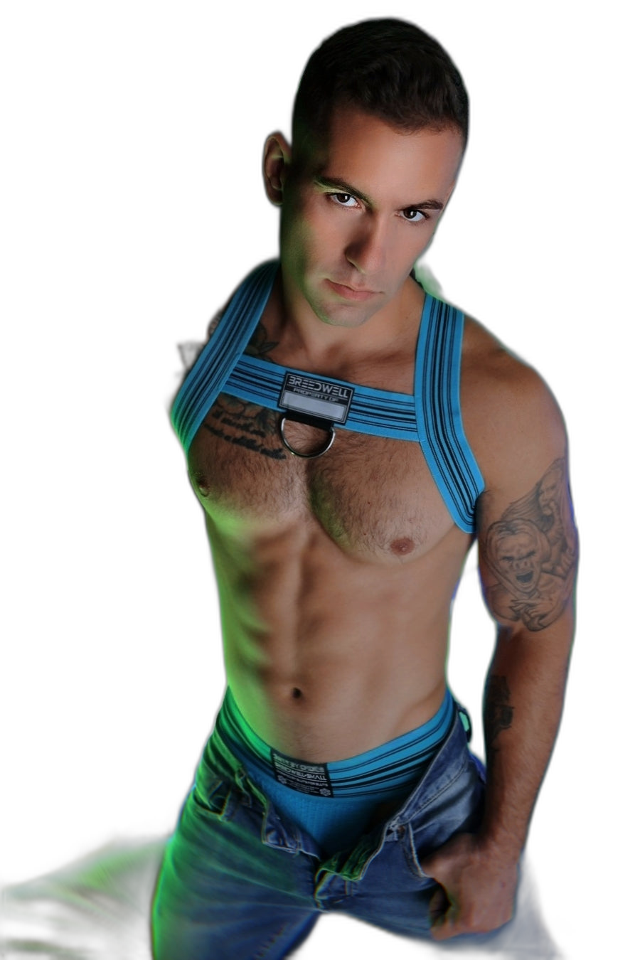 Breedwell Cumdump Bulldog Harness Aqua Blue