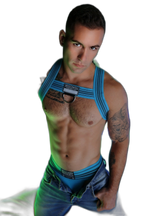 Breedwell Cumdump Bulldog Harness Aqua Blue