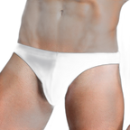 Essentials Ice Silk Briefs